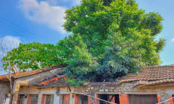 Featured image of post [Discord.js] 機器人