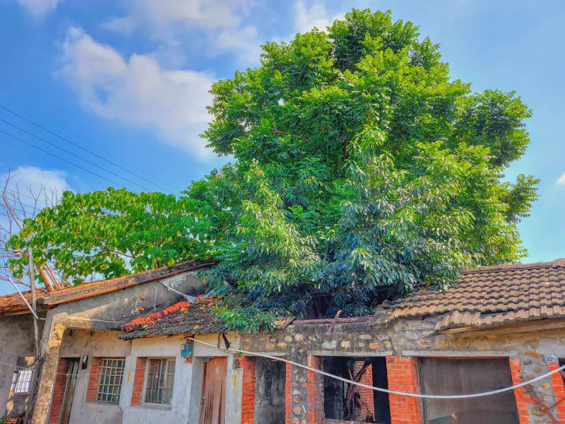 Featured image of post [Discord.js] 機器人